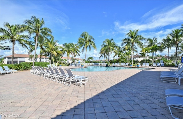 view of swimming pool with a patio area