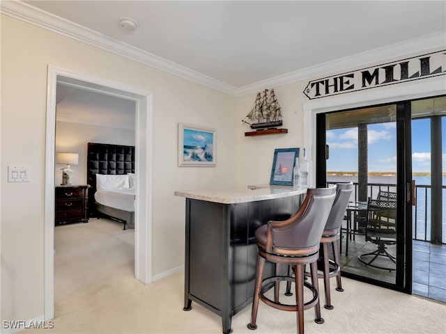 bar featuring ornamental molding, light colored carpet, and a water view