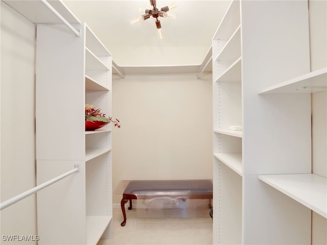 1925 Clifford St Unit 1202, Fort Myers, FL 33901 - view of walk in closet