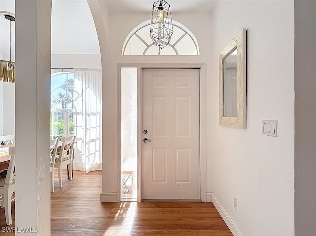 entrance foyer with wood-type flooring