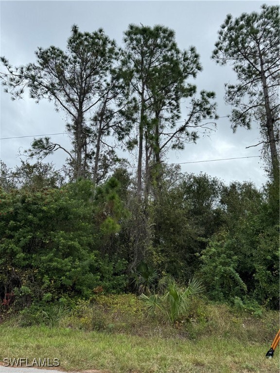 904 Sheldon Ave, Lehigh Acres FL, 33936 land for sale