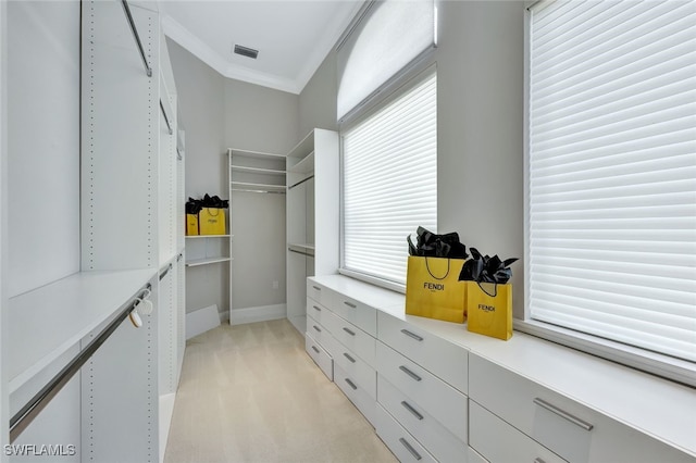 spacious closet with light carpet