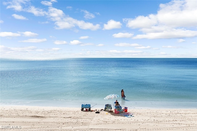 property view of water with a beach view