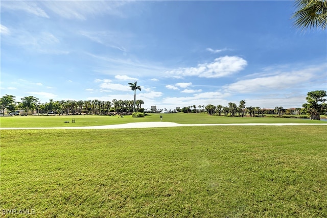 view of home's community with a lawn