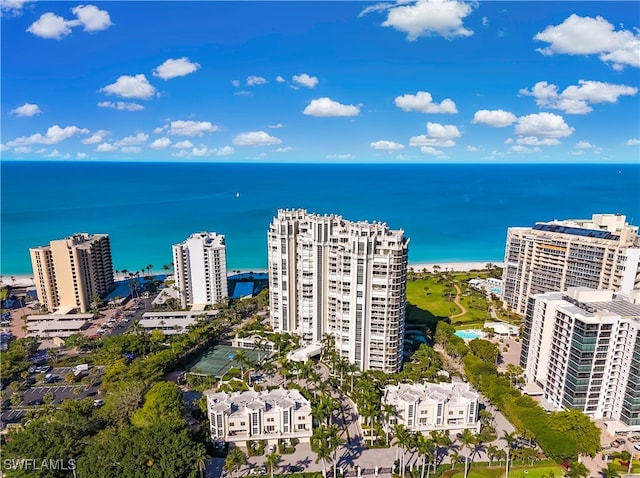 bird's eye view with a water view