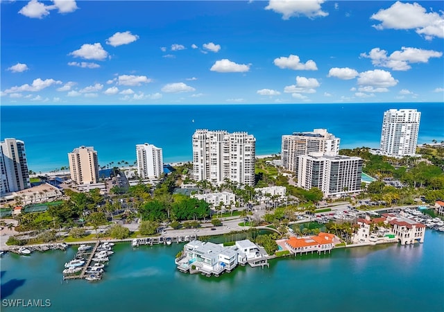 drone / aerial view with a water view