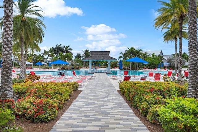 view of pool with a patio area