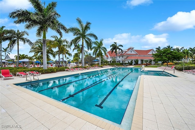 view of swimming pool with a patio