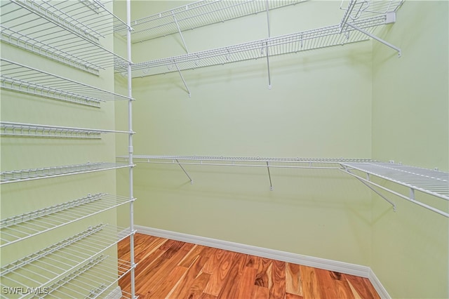 spacious closet featuring wood-type flooring