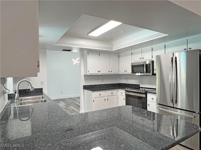 kitchen featuring white cabinetry, sink, stainless steel appliances, a tray ceiling, and hardwood / wood-style flooring