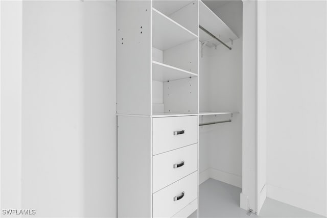 view of spacious closet