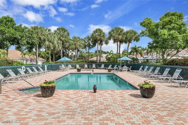 view of pool featuring a patio