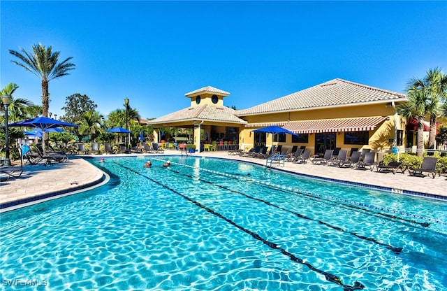 view of swimming pool with a patio area