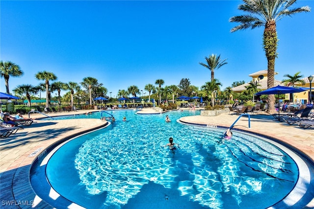 view of swimming pool featuring a patio area