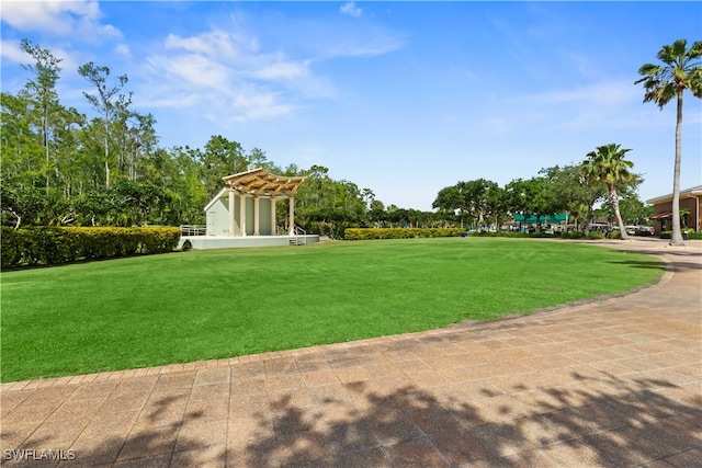 view of community with a yard