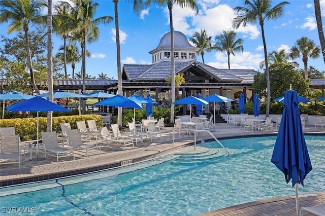 view of swimming pool with a patio