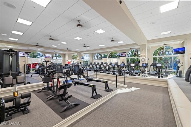 workout area featuring a paneled ceiling and ceiling fan