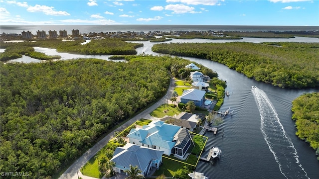 aerial view with a water view