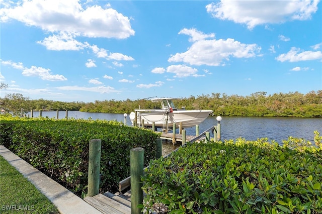 view of dock with a water view