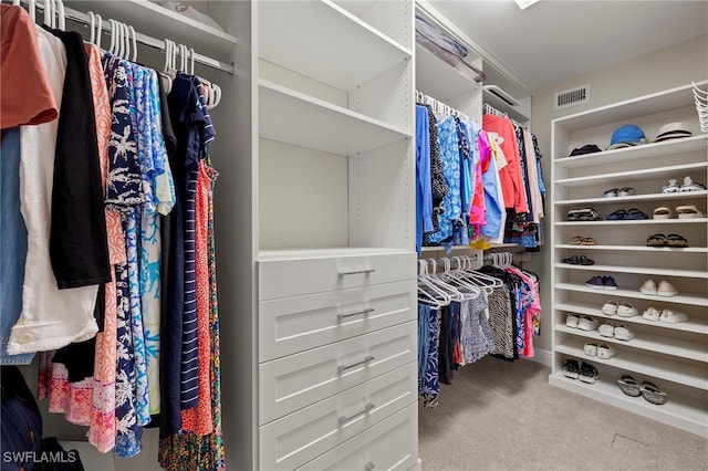 spacious closet with light colored carpet