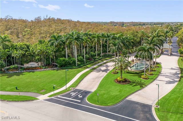 view of property's community with a yard