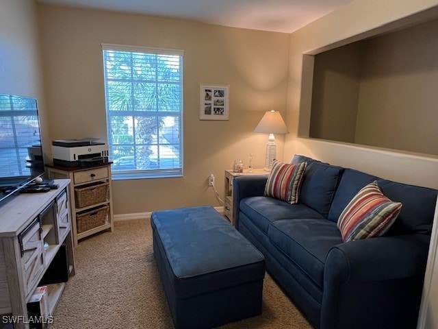 living room featuring carpet flooring