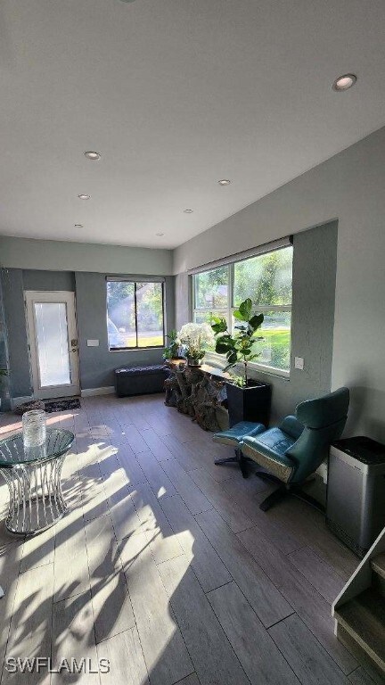 living room featuring hardwood / wood-style flooring