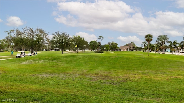 view of home's community featuring a lawn