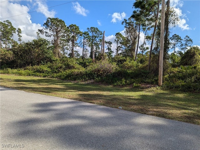 815 Pinecastle Dr, Lehigh Acres FL, 33974 land for sale