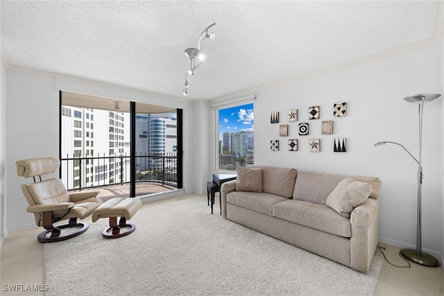 living room with track lighting and a textured ceiling