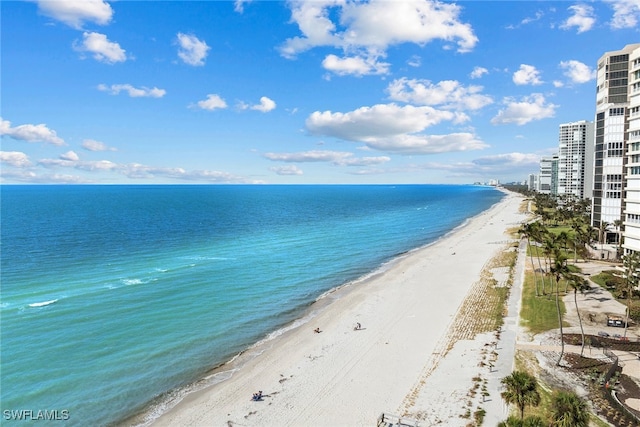 property view of water with a beach view