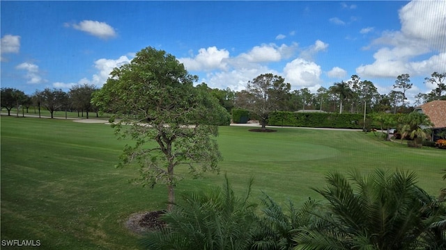 view of property's community with a yard