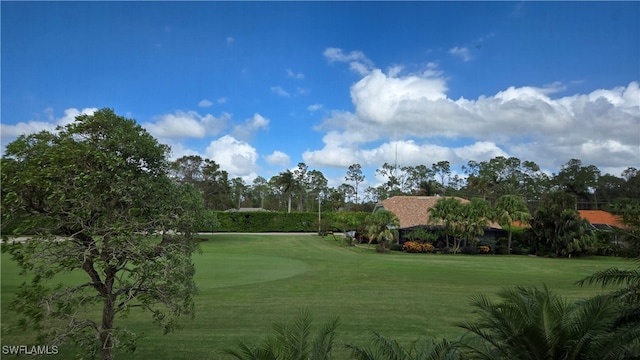 view of property's community with a lawn