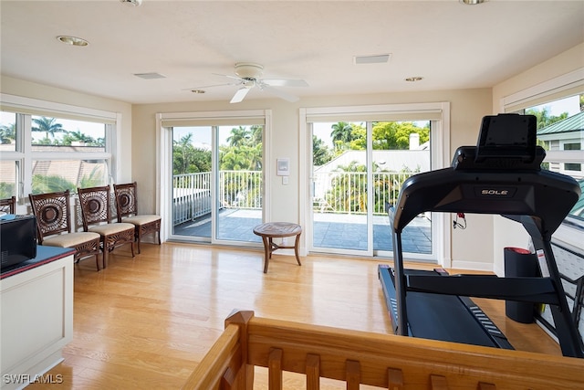 exercise area with ceiling fan and light hardwood / wood-style floors