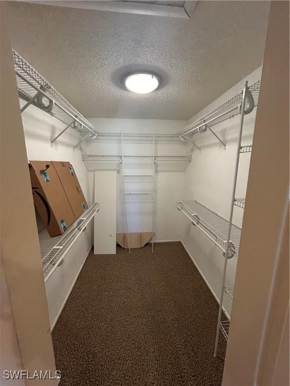 4301 Island Cir Unit 2, Fort Myers, FL 33919 - walk in closet with carpet floors