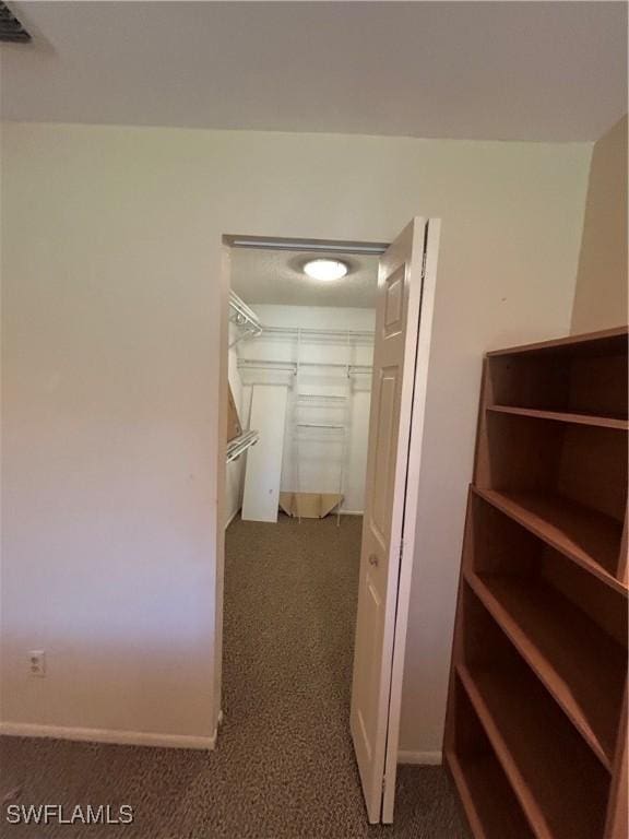 4301 Island Cir Unit 2, Fort Myers, FL 33919 - spacious closet featuring carpet