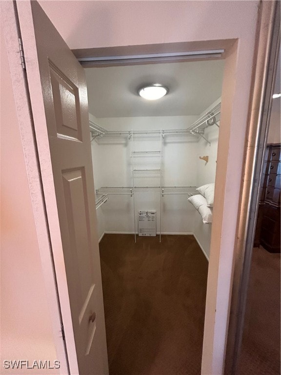 spacious closet with carpet floors