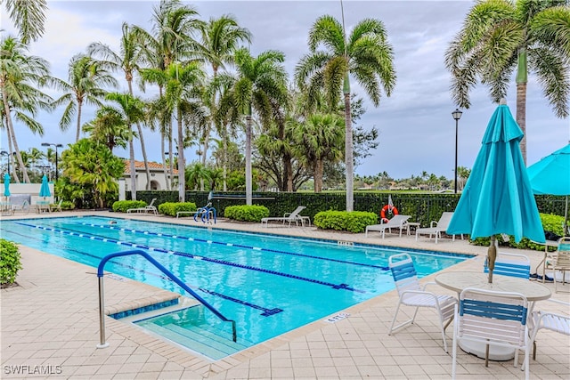 view of pool featuring a patio area