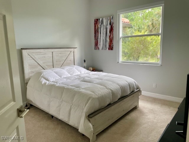 carpeted bedroom with multiple windows