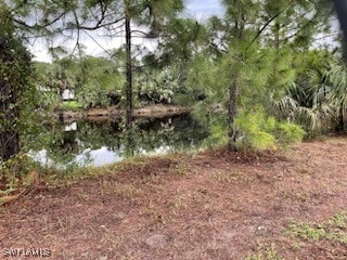 view of yard featuring a water view