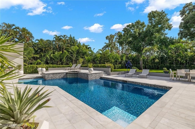 view of swimming pool featuring a patio area