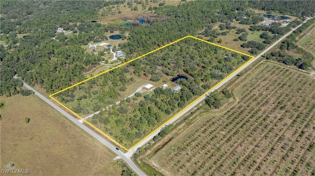 bird's eye view featuring a rural view