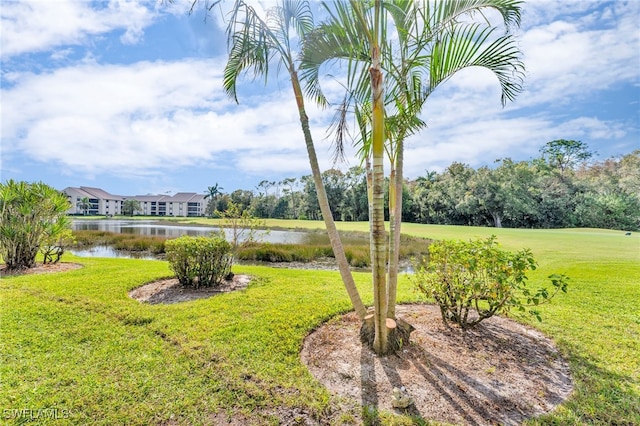 view of yard featuring a water view