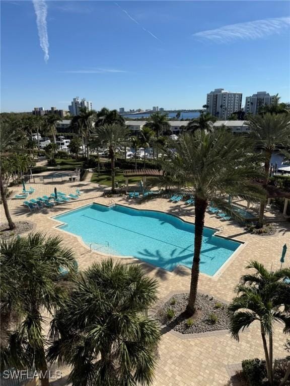 view of pool with a patio