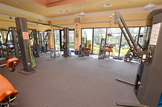 gym featuring a wealth of natural light and crown molding