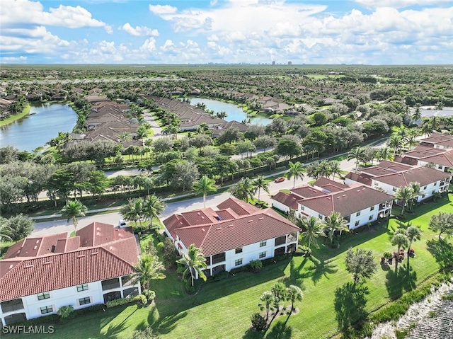 aerial view with a water view