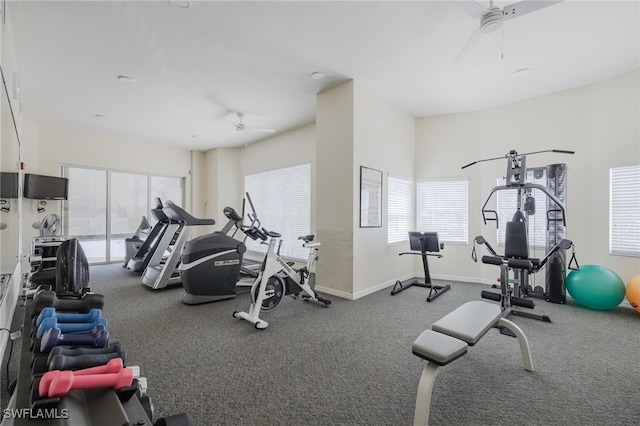 exercise room featuring carpet flooring and ceiling fan