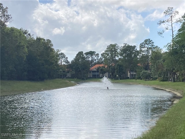 property view of water