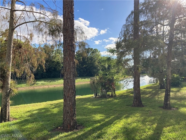 view of yard with a water view