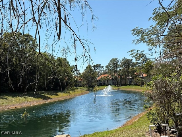 property view of water